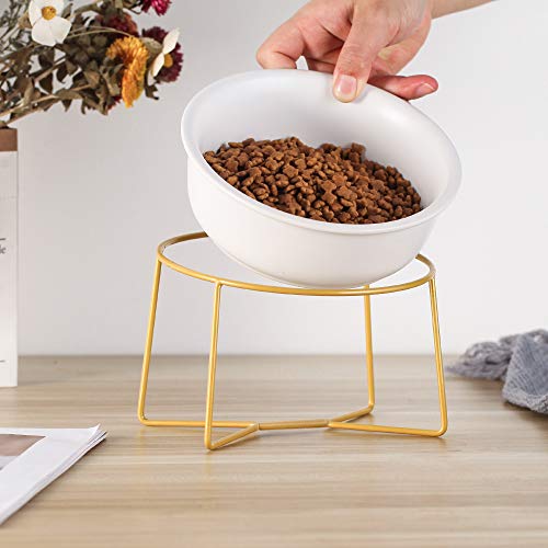 White Large Ceramic Tilted Elevated Cat Dog Bowl Raised Cat Food Water Bowl Dish Pet Comfort Feeding Bowls With Gold Iron Stand #TOP4