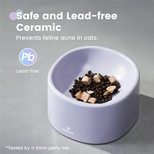 Pawaii Ceramic Cat Bowl, Combined Type Elevated Cat Bowl, Whisker Friendly Cat Bowl, Dishwasher and Microwave Safe, 1 Elevated Cat Bowl and 1 Dish