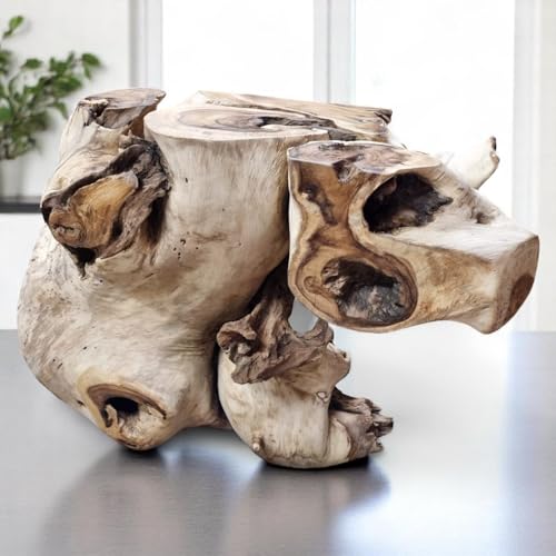 Aparador de madera de raíz de Suar, consola asiática con aspecto de madera raíz, hecho a mano en Indonesia, muebles exóticos de madera maciza de Bali, 150 x 102 x 52 cm, ejemplar único