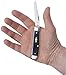 Case WR XX Pocket Knife Blue Jigged Bone Mini Trapper Item #2838 - (6207 SS) - Length Closed: 3 1/2 Inches