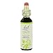 Bach Flower Essences - Flower Essence, Clematis, 20 ml