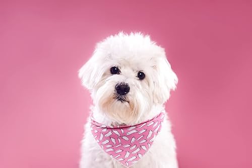 Miniatura 5 de Lionet Paws Bandana de Halloween para perros pequeños, medianos y grandes, pañuelo para perros y gatos, bufanda triangular para niña o niño