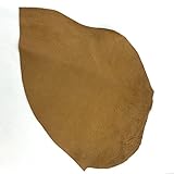 SLC's Imported Pig Leathers by The Square Foot (Glazed, Light Tan)