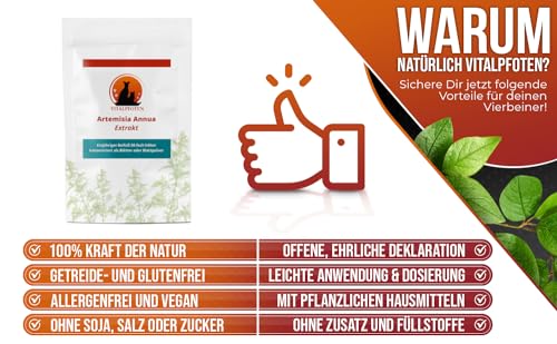 Vitalpfoten Artemisia Annua 50:1 Ratio-Extrakt für Hunde und Katzen 20g, hochkonzentriertes Extrakt Pulver zur direkten Verwendung oder Mischung, höchste Qualität inkl. Dosierlöffel