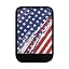 USA Flag