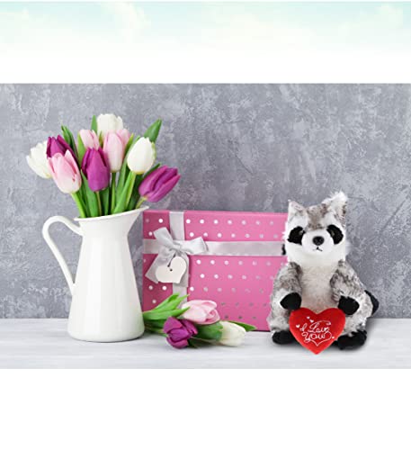 Dollibu I Love You Plush Raccoon – Cute Stuffed Animal With Heart And Name Personalization For Valentines, Anniversary, Special Occasions, Gift – 9 Inches #TOP5