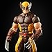 Hasbro Marvel Legends Series X-Men 6-inch Collectible Wolverine Action Figure Toy, Premium Detail and Accessory, Ages 4 and Up