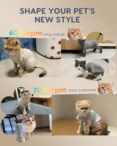Jovipawzy Cat Clippers for Matted Long Hair, Quiet Cat Grooming Kit 2-Speed Cordless Rechargeable Shaver HairTrimmer, Pet Clippers for Small,Large Dogs & Animals (Black) — view 4