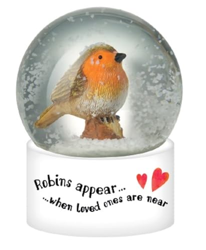 Heaven Sends Large Robins Appear When Loved Ones Are Near Christmas Snow Globe
