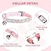 BINGPET Diamond Cat Collar,Adjustable Soft Velvet Leather Safe Kitten Collar with Shiny Rhinestones and Bells,Girl Boy Bling Stylish Cat Collars with Safety Elastic for Small Medium Cats,Pink