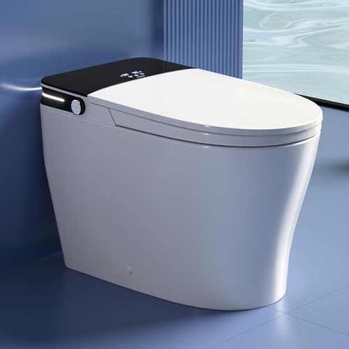 DeerValley Bidet Toilet