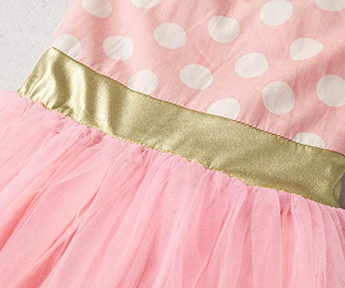 Nileafes Girls Princess Mini Mouse Costume Toddler Birthday Party Fancy Dress Up (2-3 Years,Pink) #TOP3