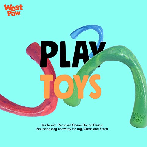 West Paw Seaflex Snorkl Dog Tug Chew Toy For Moderate Chewers, Made In Usa, 8.25" Large, Surf #TOP4