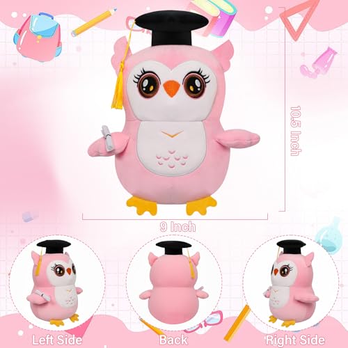 Graduation Plush Owl Stuffed Animal - 2026 Graduation Gift Pink Owl Plush with Soft 3D Cap Diploma Congrats Grad Plush Toy for Kindergarten School College Graduate Kids Teen Girl Women 9 Inch — view 3
