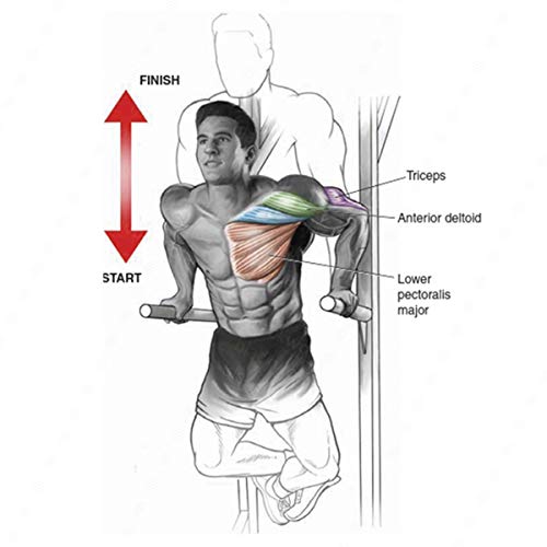 BLACKWOLF - BARRA FIXA PARALELA COM BUCHAS PLÁSTICAS