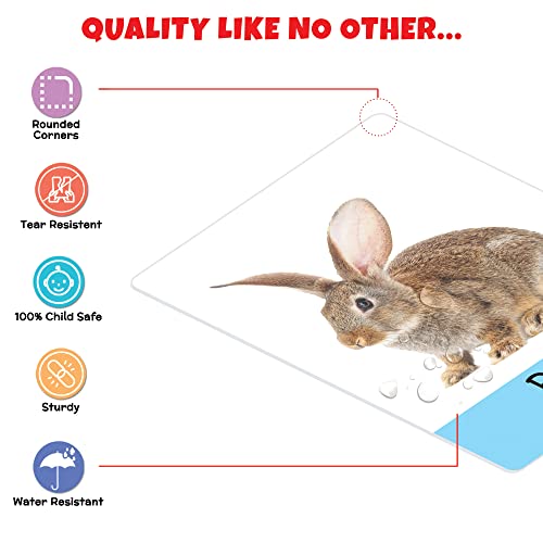 Image of Big Flash Cards for Kids: Animals | 32 Double-Sided Picture Cards, Durable & Water Resistant | Early Learning & Development Toy for Preschoolers & Toddlers 2-6 Years | Can Be Wiped Clean