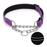 Martingale Dog Collar with Stainless Steel Chain, Adjustable Soft Padded Nylon Reflective Collar, No Pull Heavy Duty Chain Walking Training Colllars for Large, Medium, Small Dogs(Purple, 12.6"-19.7") -  Love Dream