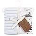 Touched by Nature Unisex Baby and Toddler Organic Cotton Toddler Pillowcase, Dino, One Size