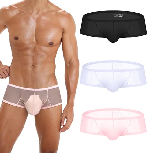 Mens Underwear Transparent Briefs Silky Nylon Man Briefs Sexy Breathable Underpants Low Rise Brief for Men 3 Pack