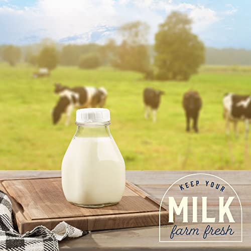 kitchentoolz 16 Oz Glass Milk Bottle with Lid - 16 Ounce Short and Wide Glass Milk Container for Refrigerator with Tamper Proof Lid and Pour Spout - Pack of 2 by kitchentoolz - Image 4