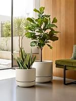 LE TAUCI Keramik Blumentopf Groß 30 cm mit Untersetzer, Großer Pflanzkübel für Außen & Innen, mit Drainageloch, Netz, Unglasiert & Atmungsaktiv, Modern für Terrasse – Sand-Beige – Ansicht 5