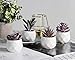 Tiita Purple Artificial Faux Succulents in Pots, Mini Purple Fake Plants for Women Desk, Small Realistic Faux Succulents for Home Office Accessories Window Sill Bathroom Bedroom 4 Set