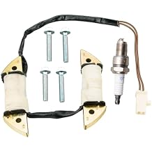JJing Head Light Charging Coil Assembly for Harbor Freight Predator 212cc 6.5HP 7HP 301CC 8HP 420cc 13HP and Other 163cc 196cc Gas Engine Go-Kart Minibike