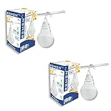 REMEN 4 Watt,12V DC Solar/Battery Led Bulb, Cool Day (White, Pack of 2)