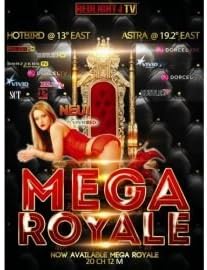 Redlight Mega Elite Royale 20 Transmitter Viaccess Card - 12 Months