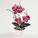 Imiee Silk Flowers with Pot 31cm in Height Artificial Orchid Phalaenopsis Arrangement Flower Bonsai with Vase for Room Table Centerpieces-H:12”