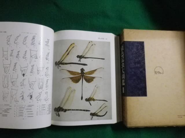 原色昆虫大図鑑　III 朝比奈正二郎 Amazon | 原色昆虫大図鑑3 蜻蛉直翅半翅膜翅他篇 朝比奈正二郎 北隆館