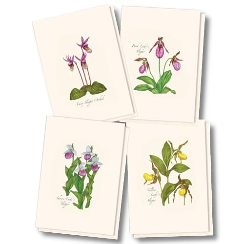 Image of Earth Sky + Water - Native Orchid Assortment Assortment Notecard Set - 8 Blank Cards with Envelopes (2 each of 4 styles)