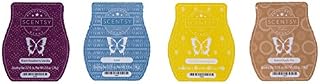 Scentsy Bar 4-Pack (Black Raspberry Vanilla, Baked Apple Pie, Luna, Coconut Lemongrass)