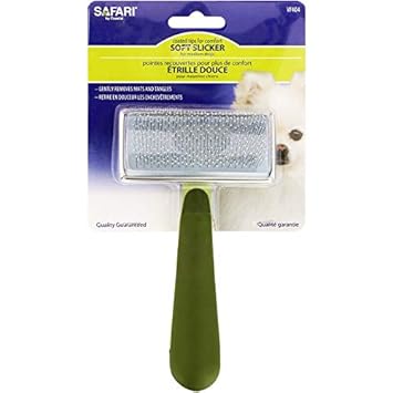 Coastal W404B Safari 3 1/2