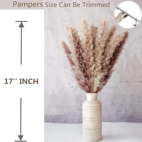 Ramo de Hierba Pampas Grande Seco Decorativo 30 piezas miniatura 5