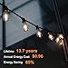 TJOY 36 Pack Vintage 8W ST58 LED Edison Light Bulbs, Dimmable, 60W Equivalent, 800Lumens, 2700K Warm White, E26 Base LED Filament Bulb, CRI80+, Antique Glass Style for Home, Bedroom, Office, Farmhouse