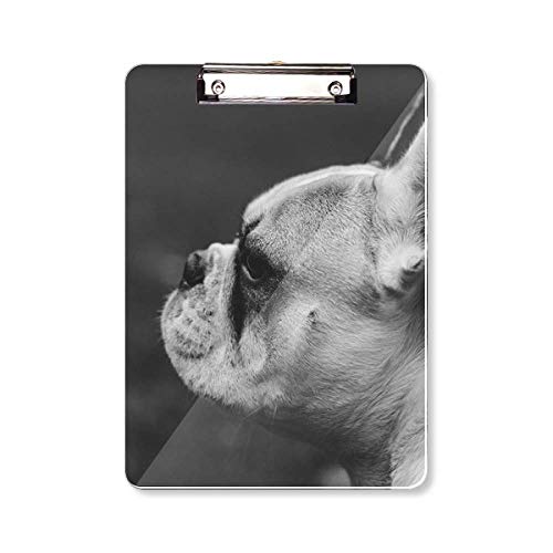 Porte-bloc A4 pour chien gris plaque arrière rigide écriture stable