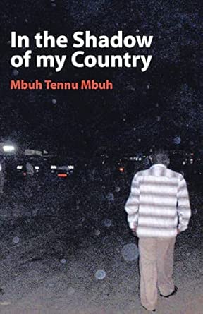 In the Shadow of My Country-Wow! eBook