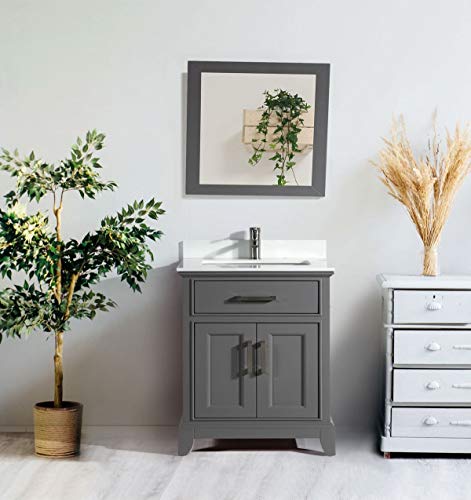 Vanity Art 30 Inch Bathroom Vanity with Sink and Mirror