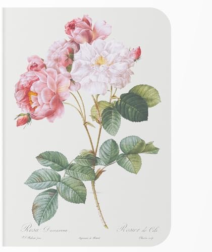 Caderno sem Pauta A5 - Capa Flexível 80 Páginas 20x14cm - Rosa Da...