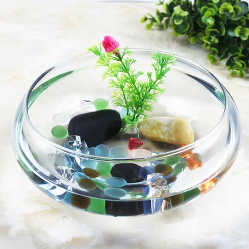 Image of NOLITOY Clear Fish Bowl Vase, Fish Tank Aquarium Bubble Round Shallow Planter Aquatic Plant Pot for Office Desktop Decorative