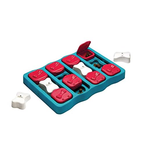 Nina Ottosson por Outward Hound Dog Brick - Dispensador Interactivo de recompensas - Rompecabezas para Perros - Nivel intermedio