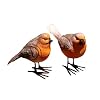2 stuks roodborstjes, wilde vogel collectie, levensechte kleuren, tuin buiten ornamenten decor standbeeld