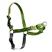 PetSafe Easy Walk Harness,  Medium, APPLE GREEN/GREY for Dogs