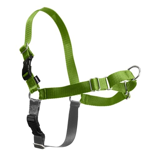 PetSafe Easy Walk No-Pull Dog Harness - The Ultimate Harness to Help Stop Pulling - Take Control & Teach Better Leash Manners - Helps Prevent Pets Pulling on Walks, Medium, Apple Green/Gray
