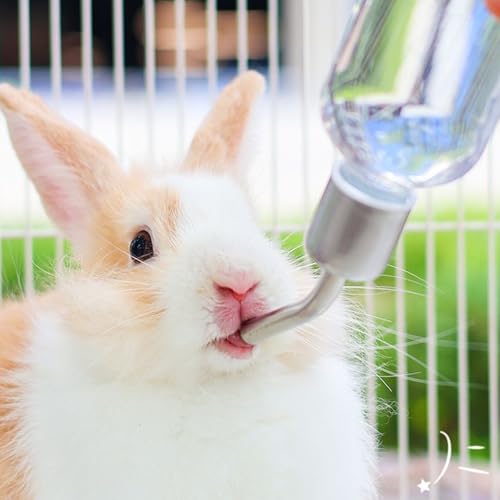 Non-Drip Rabbit Water Bottle, Small Pet Water Dispenser with Feeding Spoon & Food Bowl, Water Bottle for Rabbit, Guinea Pig, Hamster, Chinchilla - Image 7