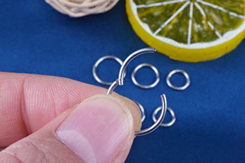 16G Hypoallergenic Nose Rings 316L Surgical Steel Piercing Jewelry Hinged Segment Ring Body Piercing Septum Nose Hoop Lip Rings Nose Helix Cartilage Rook Earrings (16G 4Pairs 6/8/10/12Mm Steel) #TOP4