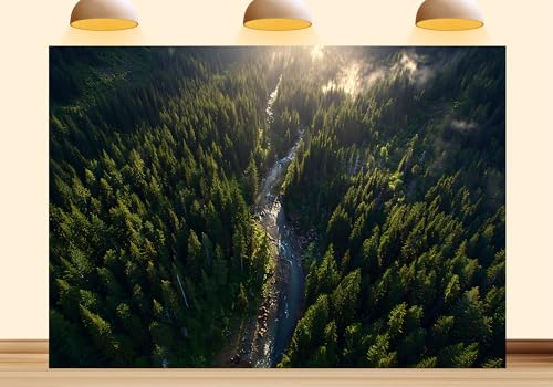 Forest Tapestry Wall Hanging Jungle Forest Backdrop Misty Nature Scenery Background for Online Investor Pitch Deck Presentation Home Wall Decor Photo Studio Props 4X4ft Fabric