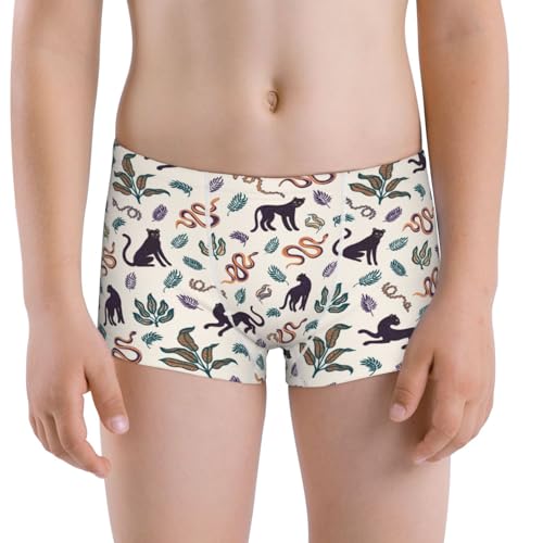 Boys' Cotton Boxer Brief Soft Underwear-Black Cat And Snake