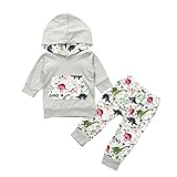 🐳🐳 Willkommen zu 